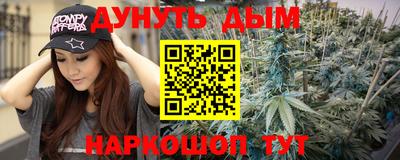 прущие грибы Будённовск