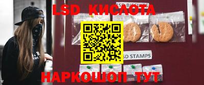 прущие грибы Будённовск