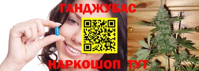 прущие грибы Будённовск